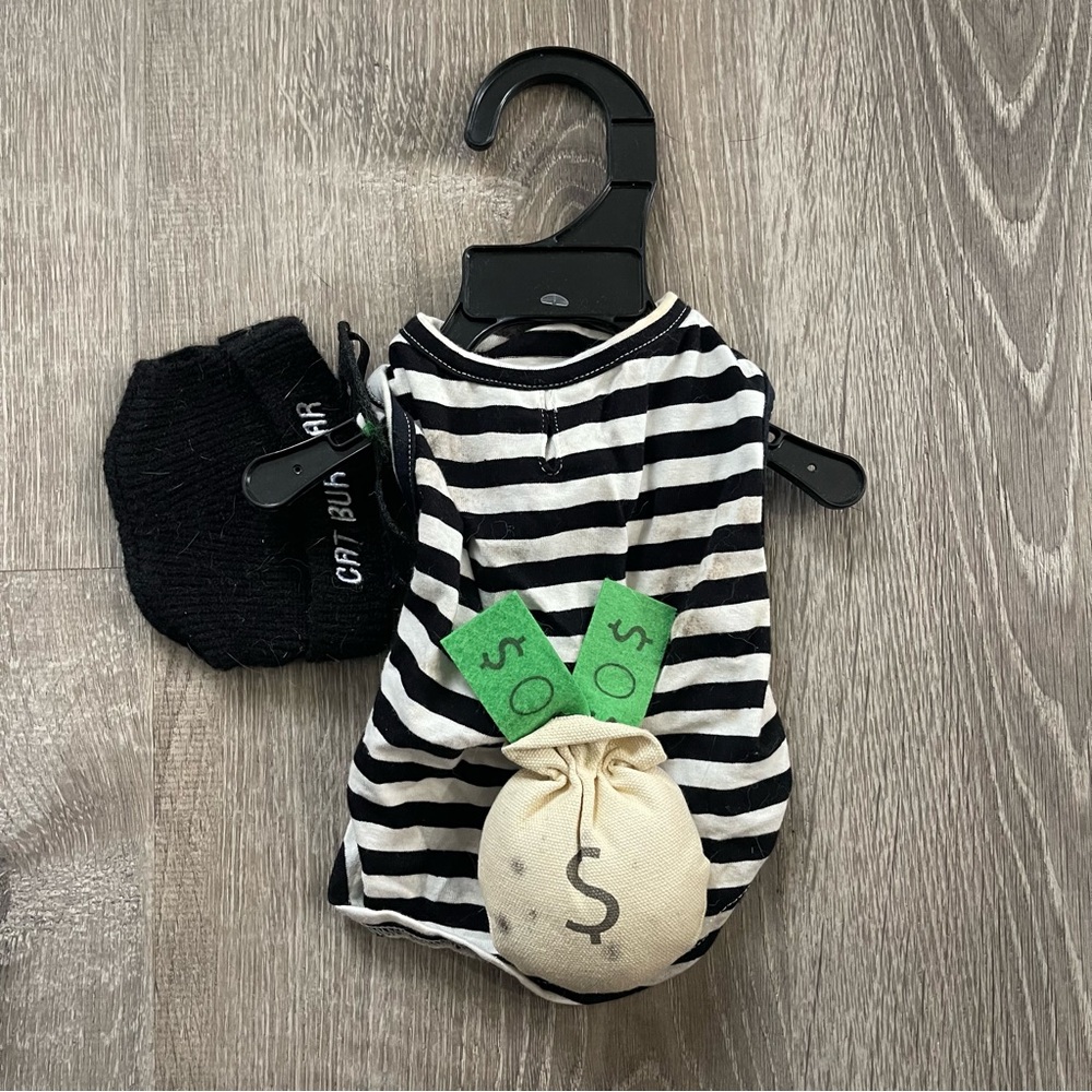 Cat Burglar Costume